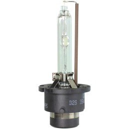 Ampoule Xenon D2S