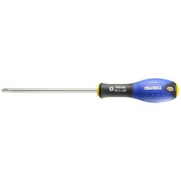 Tournevis pour vis phillips® - Expert 1 x 100 -  E165207