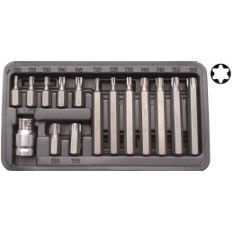 Coffret bits Torx