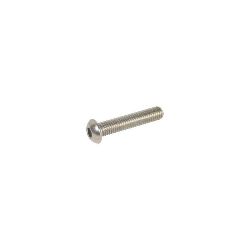 Vis ISO7380 inox M6x30 Vis ISO7380 inox M6x30