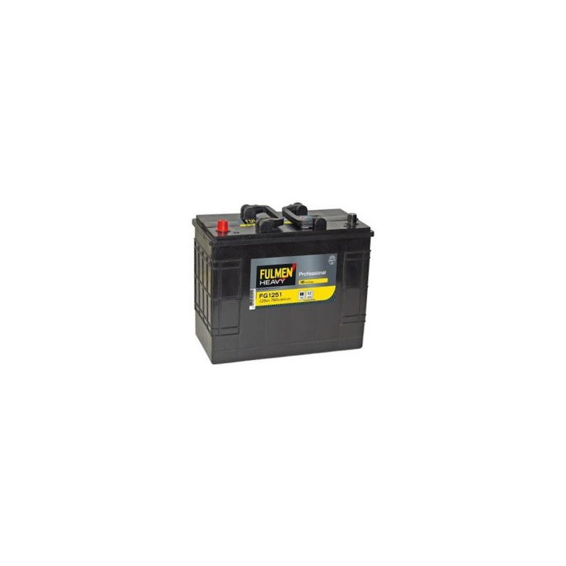 Batterie de démarrage petit camion 125Ah Batterie de démarrage petit camion 125Ah