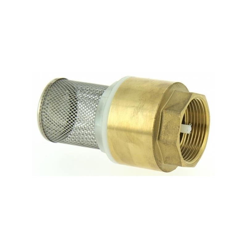 Clapet de pied + filtre 1" BSP