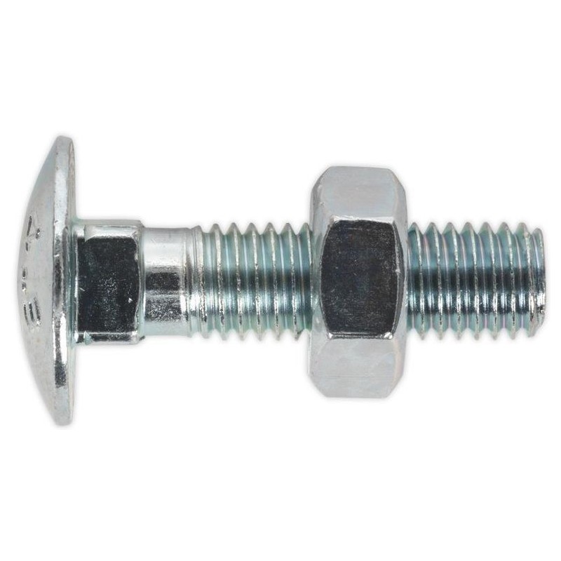 Boulon DIN603 M8x100 (100P) Boulon DIN603 M8x100 (100P)
