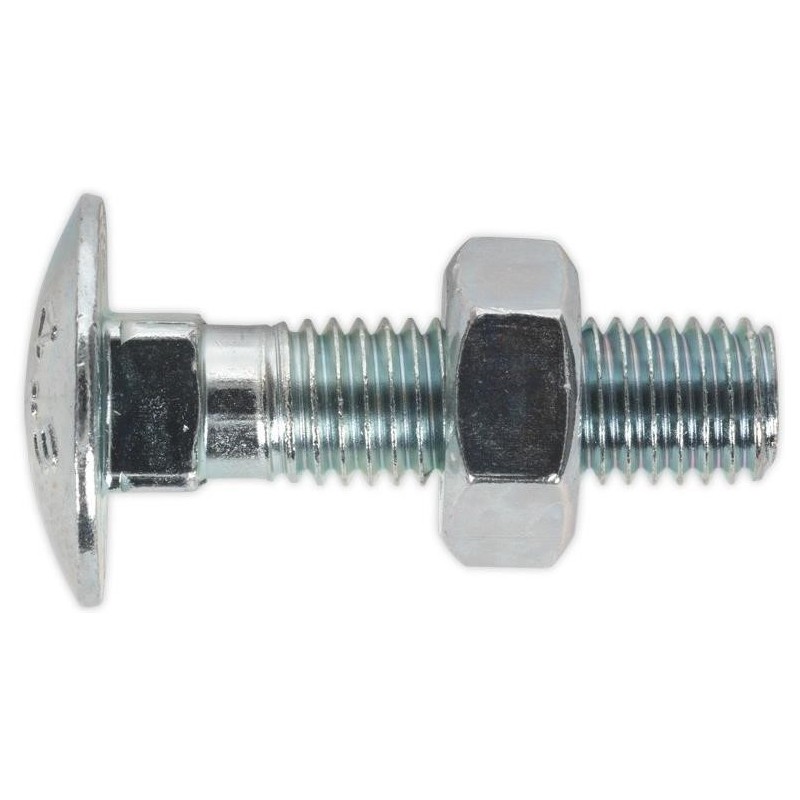 Boulon DIN603 M6x30 (100P) Boulon DIN603 M6x30 (100P)