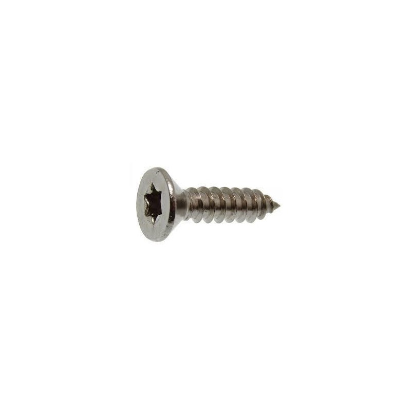 Vis ISO 14586 5,5x45 - T25 (250P) Vis ISO 14586 5,5x45 - T25 (250P)