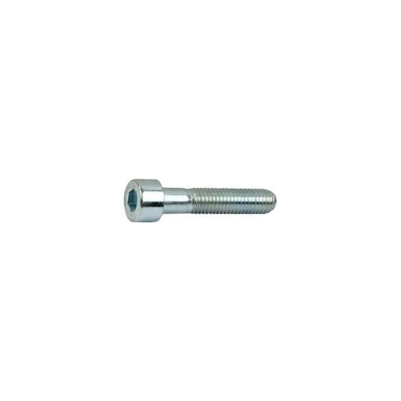Vis DIN912 10.9 M10x40 Vis DIN912 10.9 M10x40