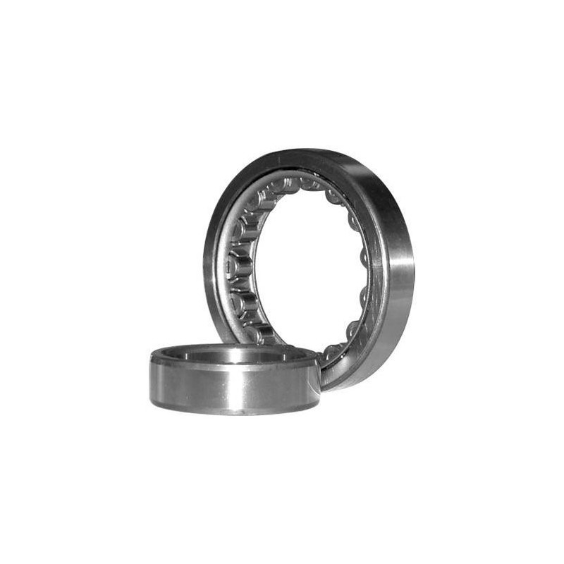 Roulements à rouleaux série NU NU2306 - 30x72x27 mm