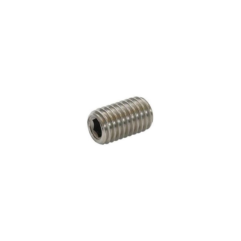 Vis DIN916 inox M6x12