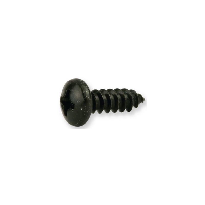 Vis DIN7981 noire 4,8x25 Vis DIN7981 noire 4,8x25