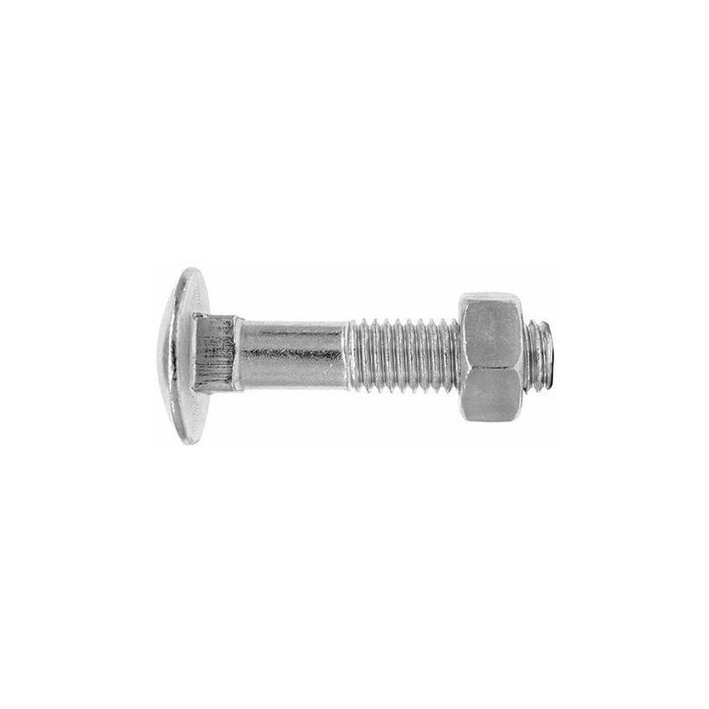 Vis DIN603 M10x80 Vis DIN603 M10x80