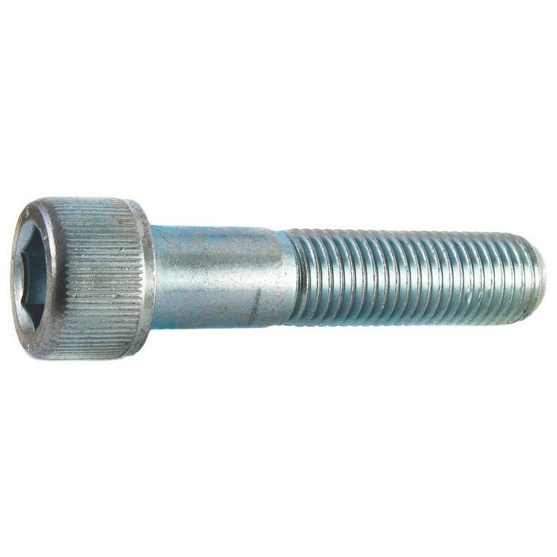 Vis DIN912 M6x50 (8 pcs)