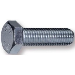 Vis DIN933 M10x60 (25  pcs)
