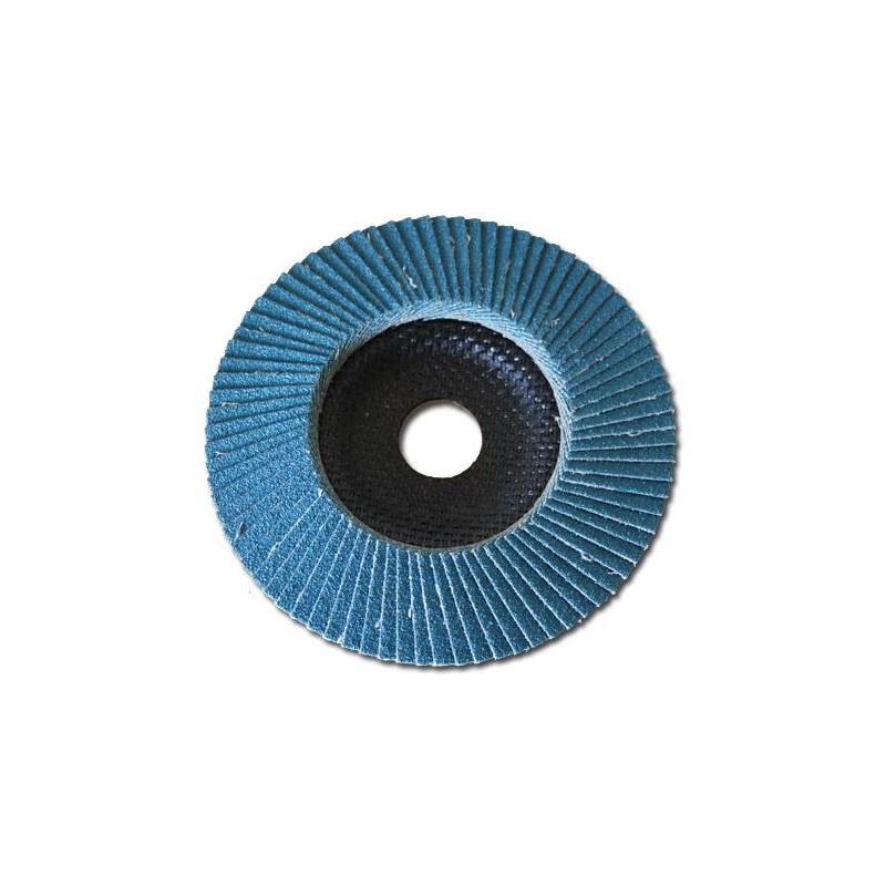 Disque à lamelles - inox, acier, fonte, ... P60 - 125 x 22,23