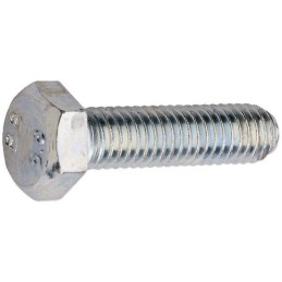 Vis DIN933 10.9 M12x50 (100P)